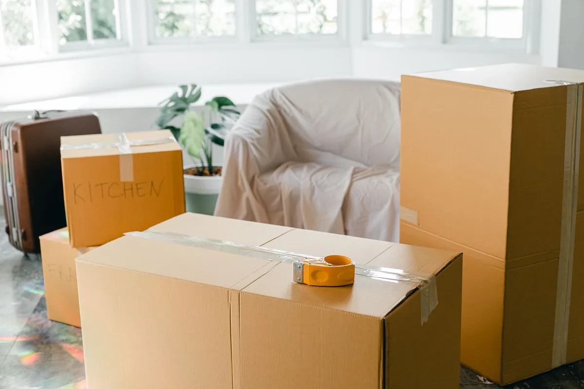 Hoarding Cleanup in West Farms, New York, NY